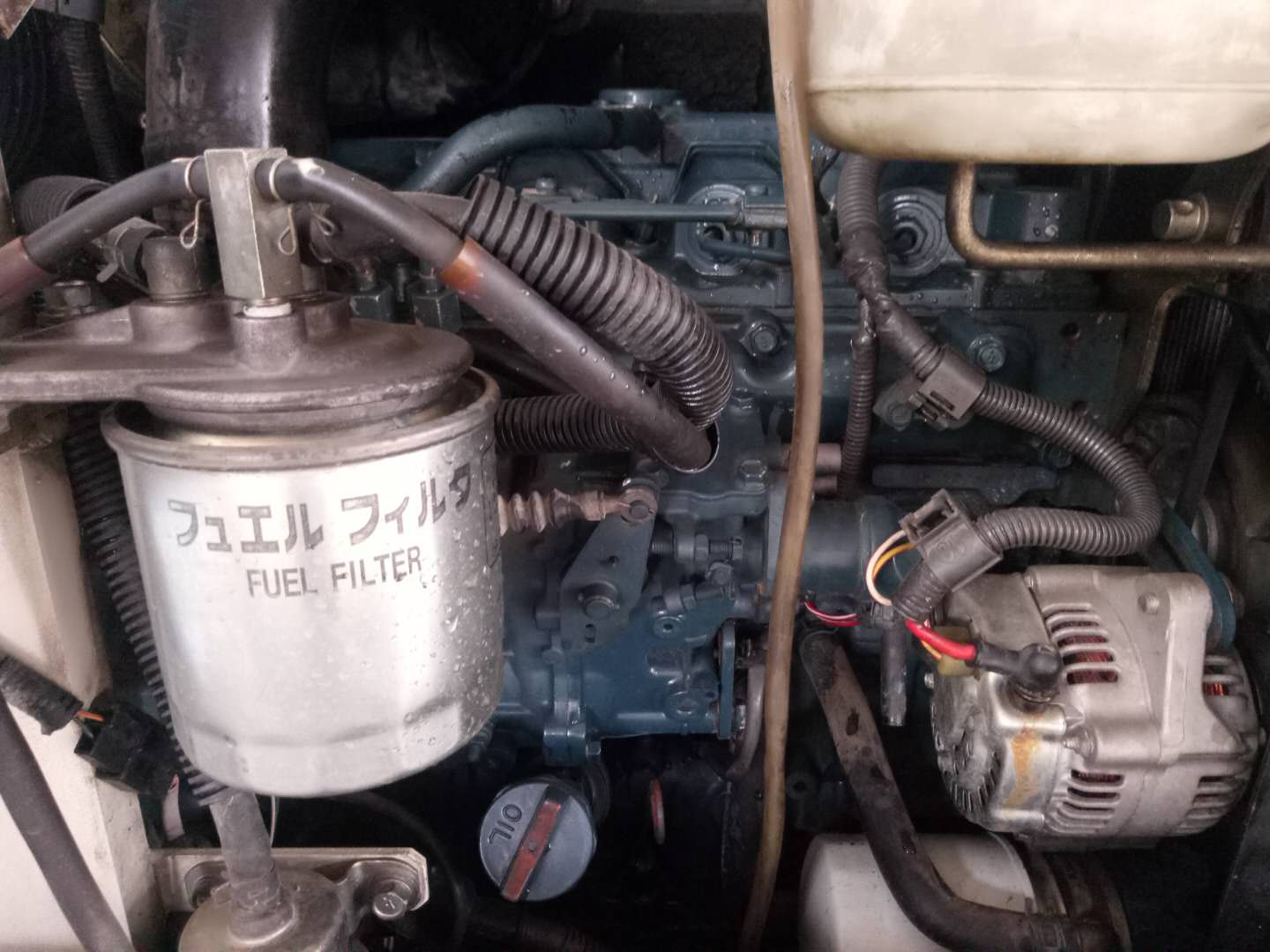 559ad5907a89528047d0699845c3556